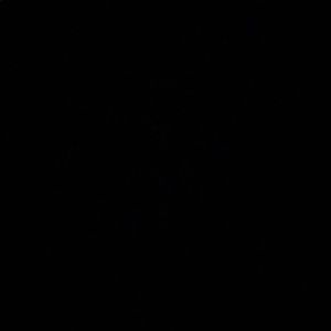 Meet your Posher, Kristiana